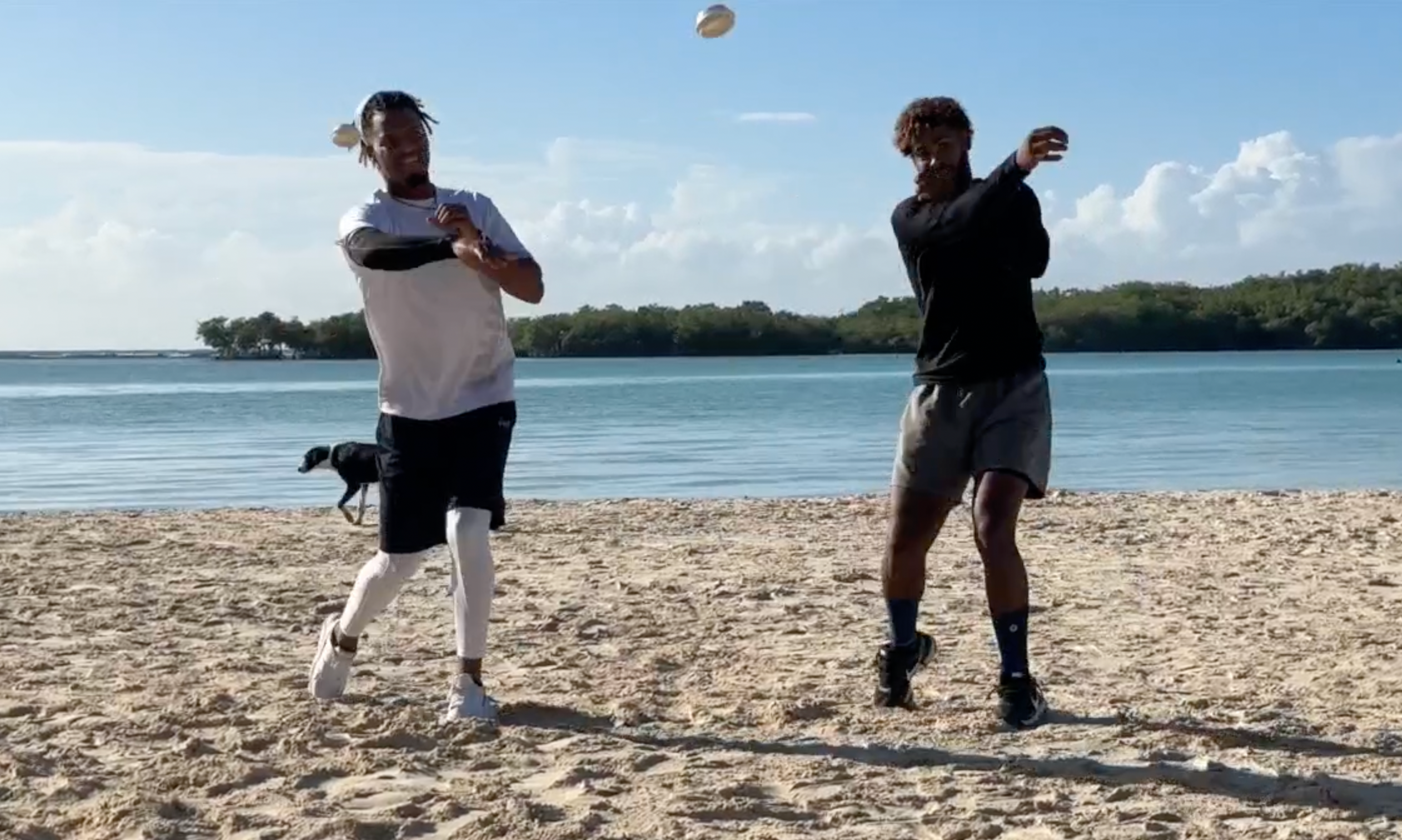 Image of Vitilla Athletic Throwing System (with 18 Vitilla Cap Bonus)